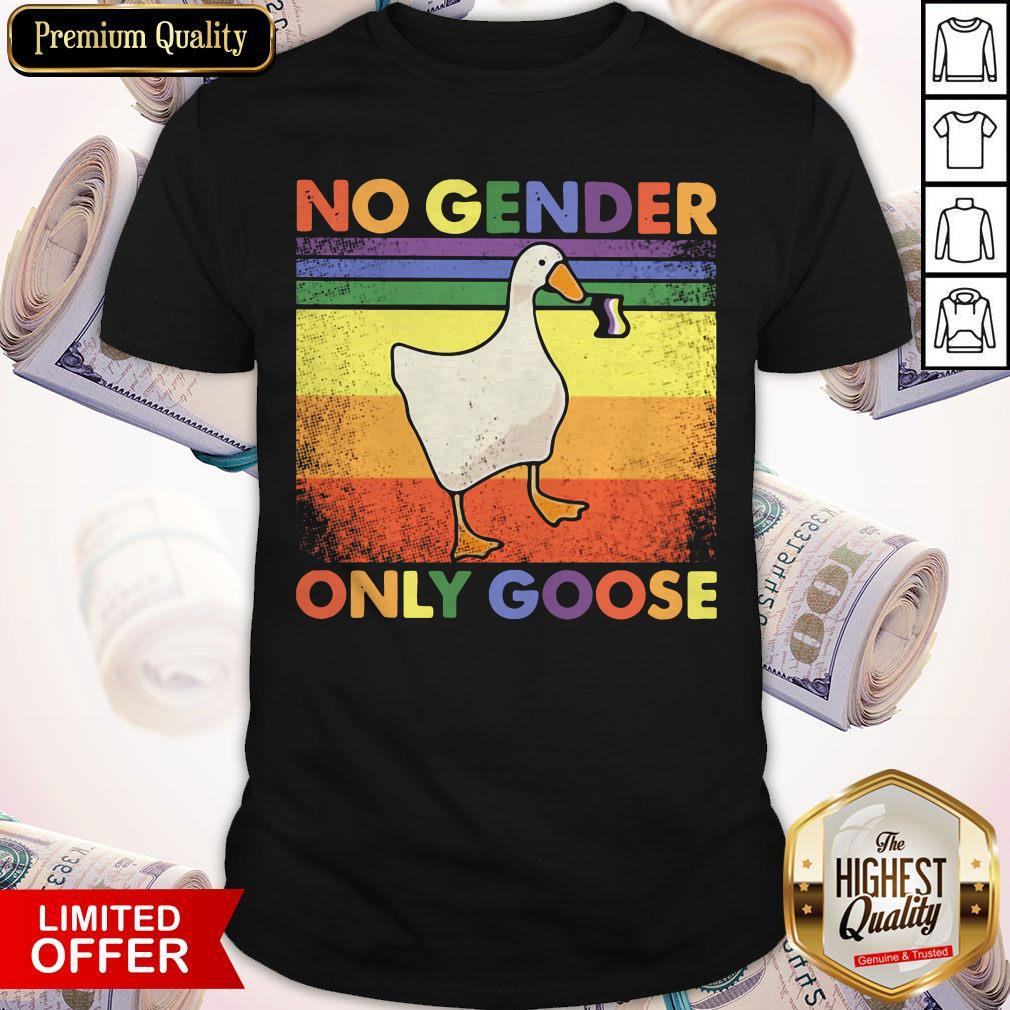 Good LGBT Duck No Gender Only Goose Vintage Shirt