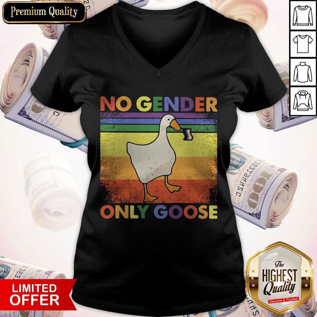 Good LGBT Duck No Gender Only Goose Vintage Shirt