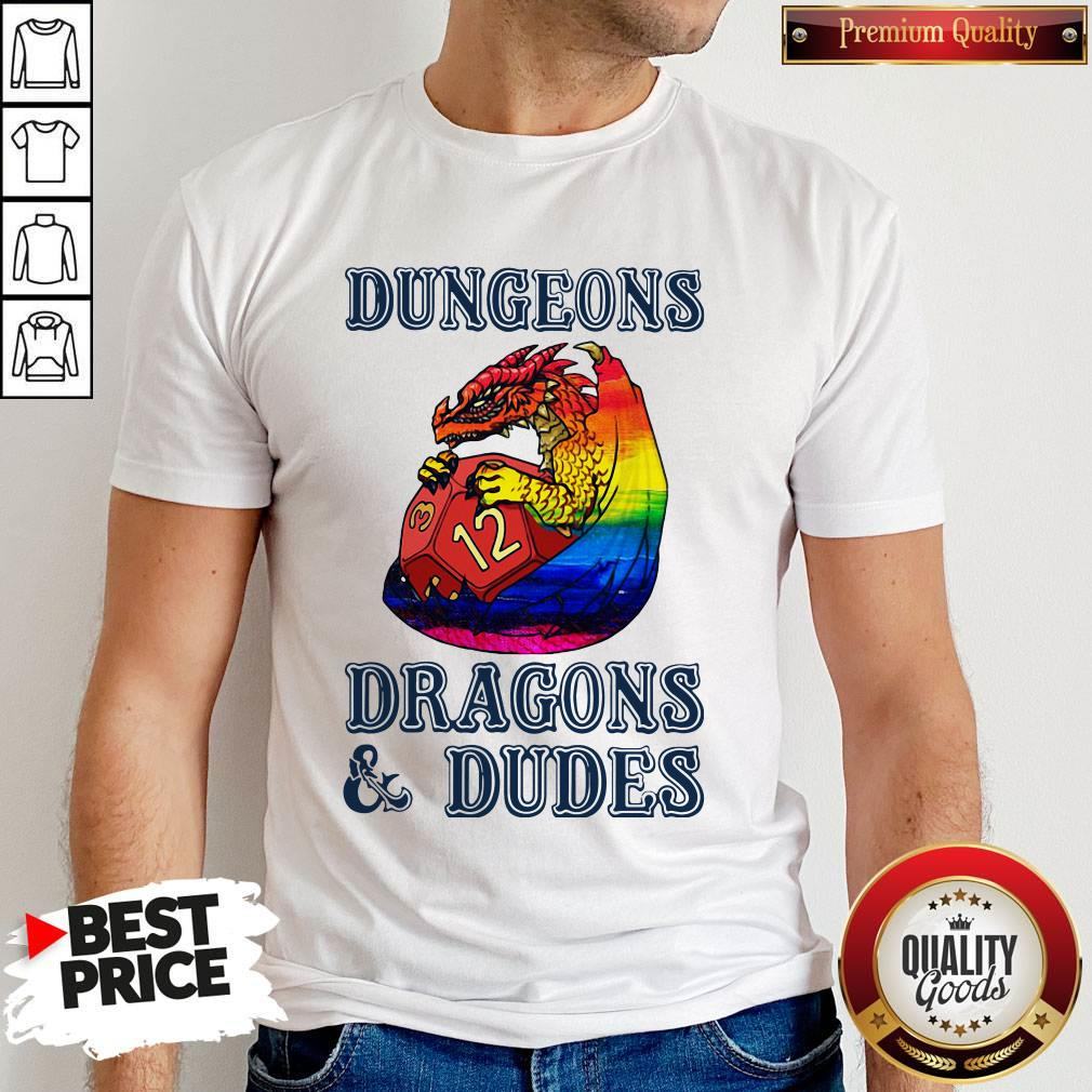Pretty LGBT Dungeons Dragons And Dudes Shirt