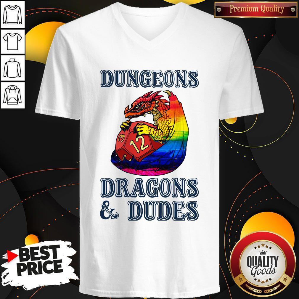 Pretty LGBT Dungeons Dragons And Dudes Shirt