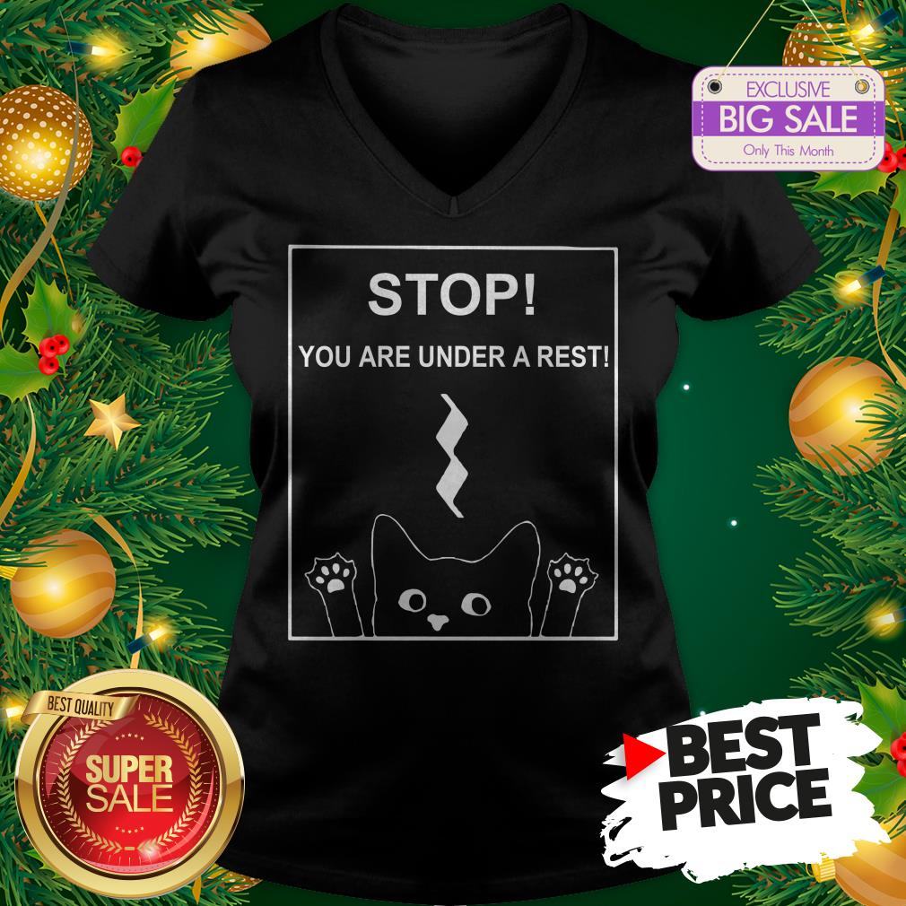Stop You Are Under A Rest Funny Symbol Music Notes Musician Shirt