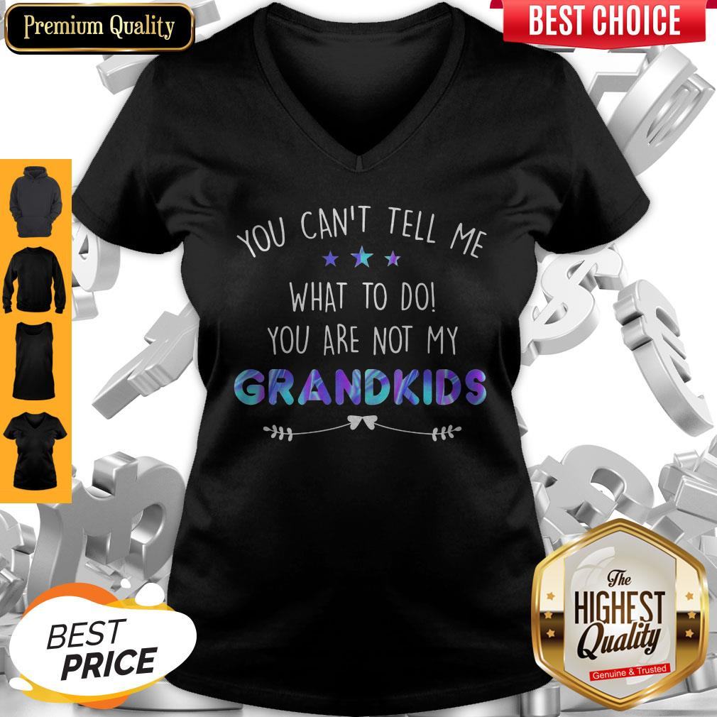 You Can't Tell Me What To Do You Are Not My Grandkids Stars Shirt