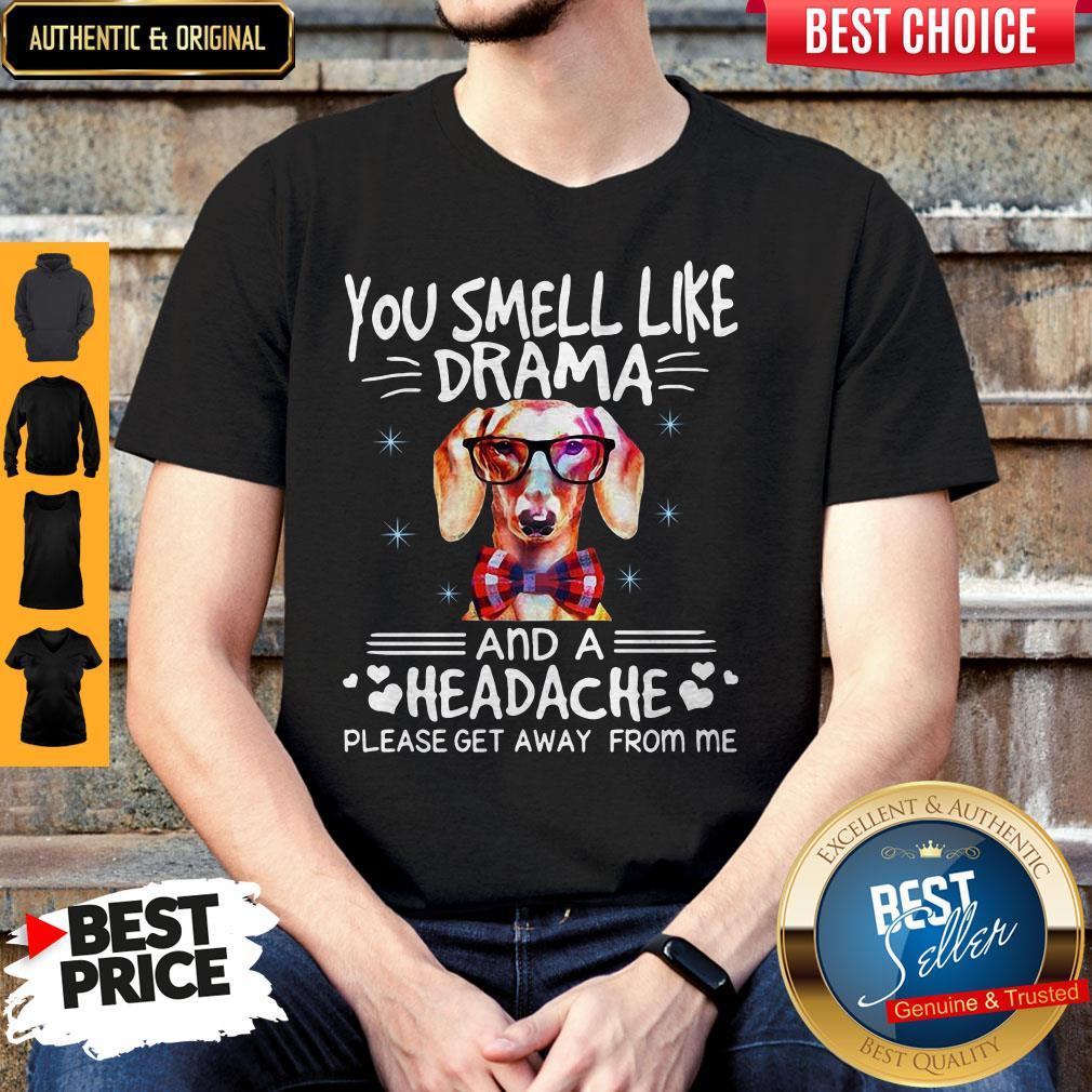 You Smell Like Drama Dog And A Headache Please Get Away From Me Shirt
