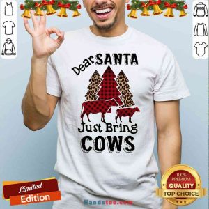 Perfect Dear Santa Just Bring Cows Shirt