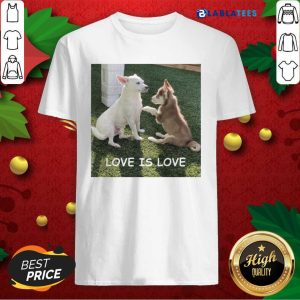 Premium Bryson And Balto Love Is Love Shirt