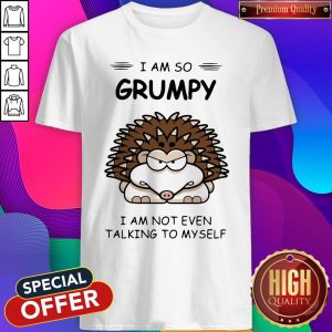 Top Hedgehog I Am So Grumpy I Am Not Even Talking To Myself Shirt
