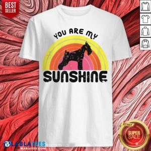Grateful Schnauzer Rainbow You Are My Sunshine Shirt