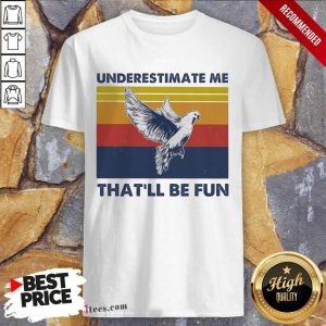 Great Underestimate Me That’ll Be Fun Dove Vintage shirt
