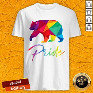 Gay Bear Pride LGBT Rainbow Flag Pride Month Gift Shirt