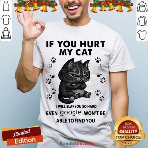 Pretty If You Hurt My Cat I Will Slap You So Hard Even Google Won’t Be Able To Find You Shirt