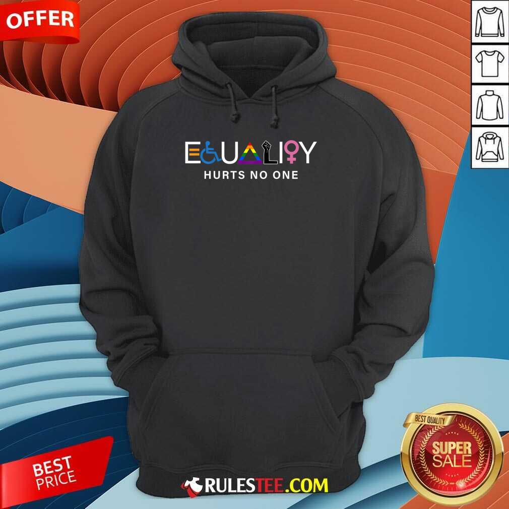 All I Need Is Equality Hurts No One LGBT Equality Gay Pride Human Rights Shirt