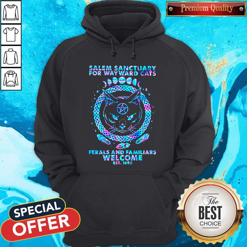 black-cat-salem-sanctuary-for-wayward-cats-ferals-and-familiars-welcome-est-1692-color-hoodie.jpg