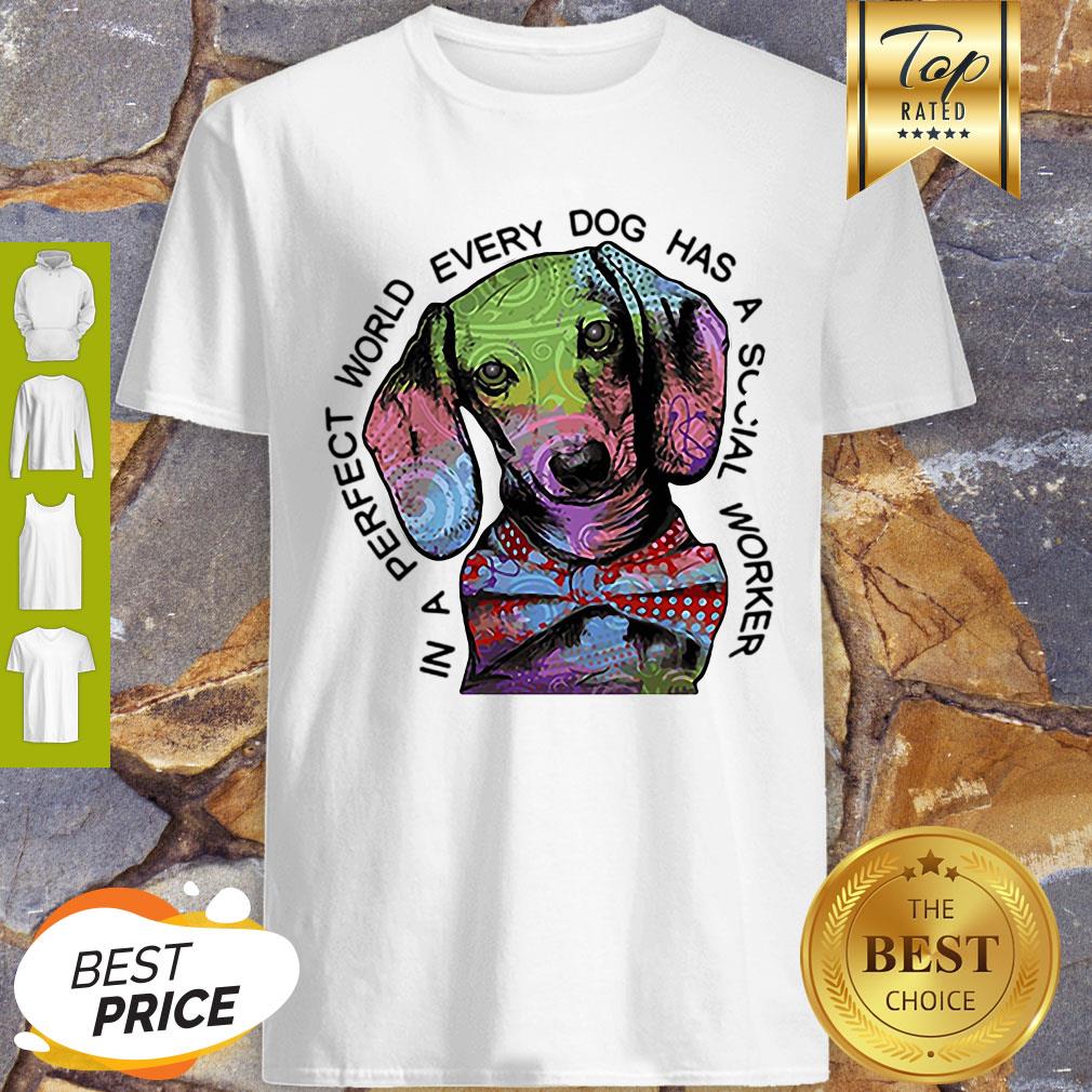 Dachshund In A Perfect World Every Dog Has A Social Worker Shirt