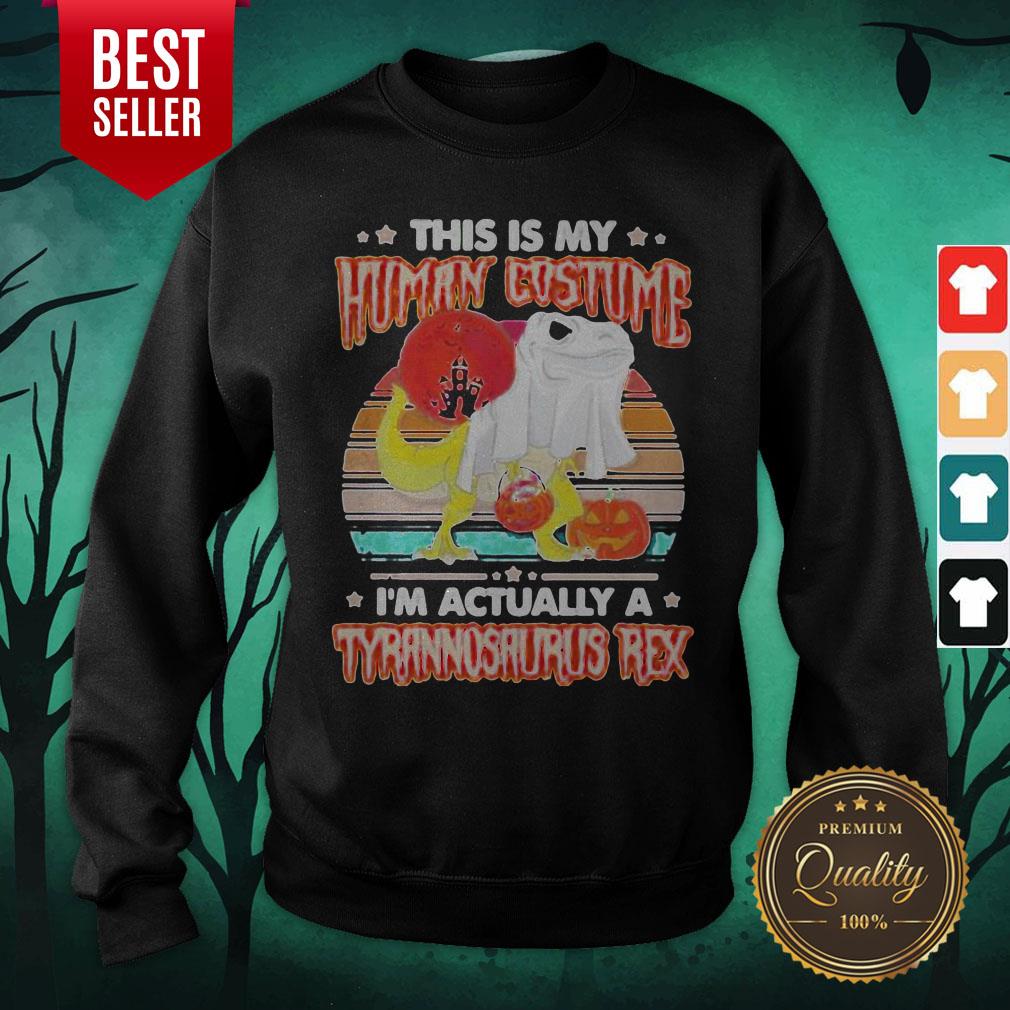 dinosaur-ghost-this-is-human-costume-im-actually-a-tyrannosaurus-rex-sunset-vintage-retro-hallsweatshirt.jpg