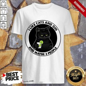 Hot I Like Cat And Gin And Maybe 3 People Shirt