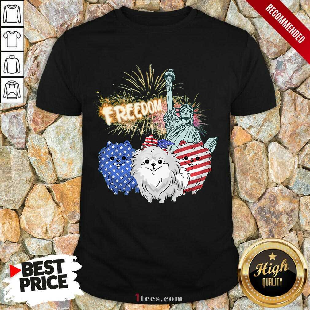 Freedom Dog Pomeranian Statue Of Liberty USA Flag Shirt