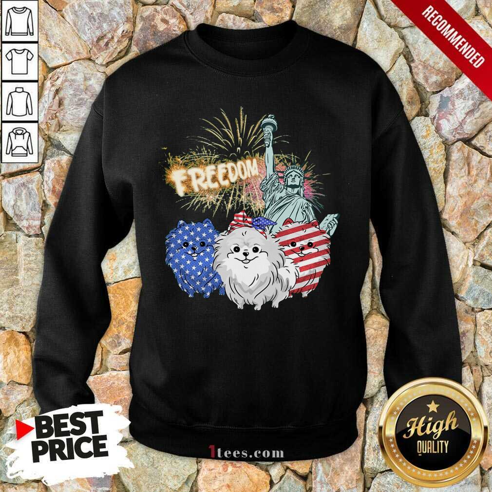 Freedom Dog Pomeranian Statue Of Liberty USA Flag Shirt