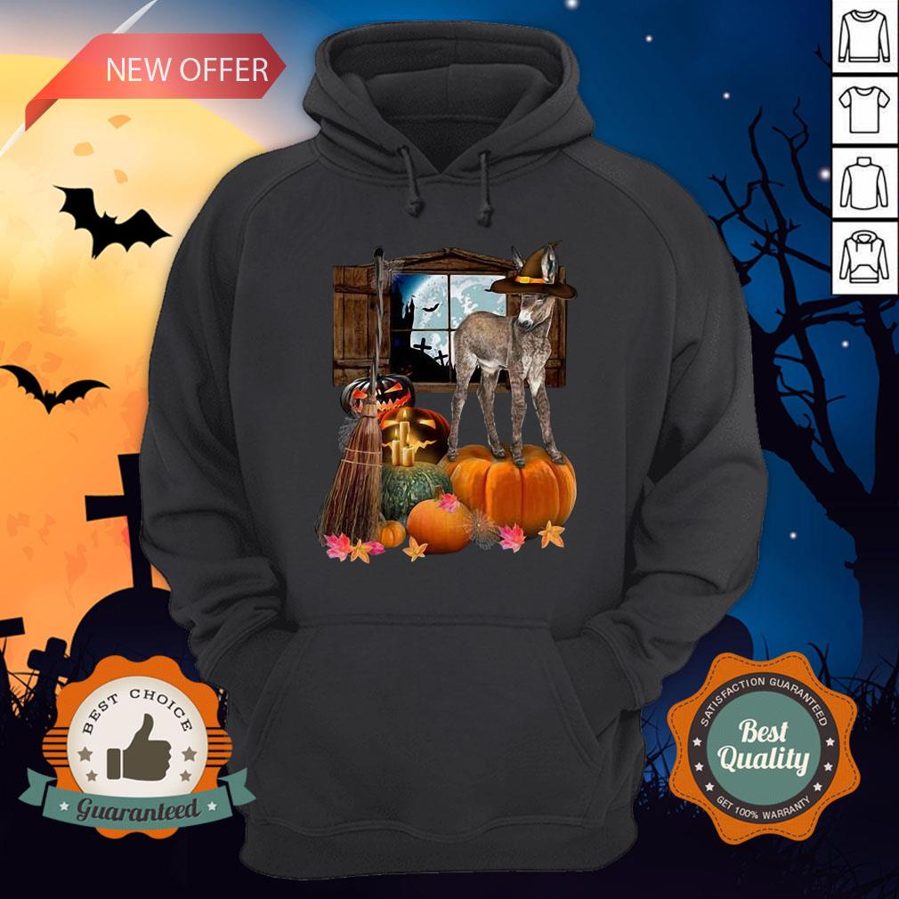 Funny Doneky Witch Halloween Shirt