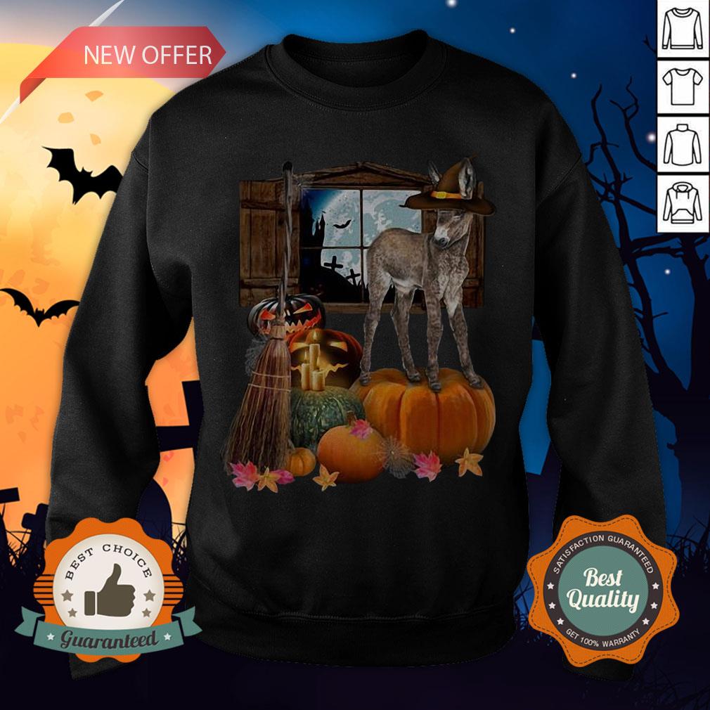 Funny Doneky Witch Halloween Shirt