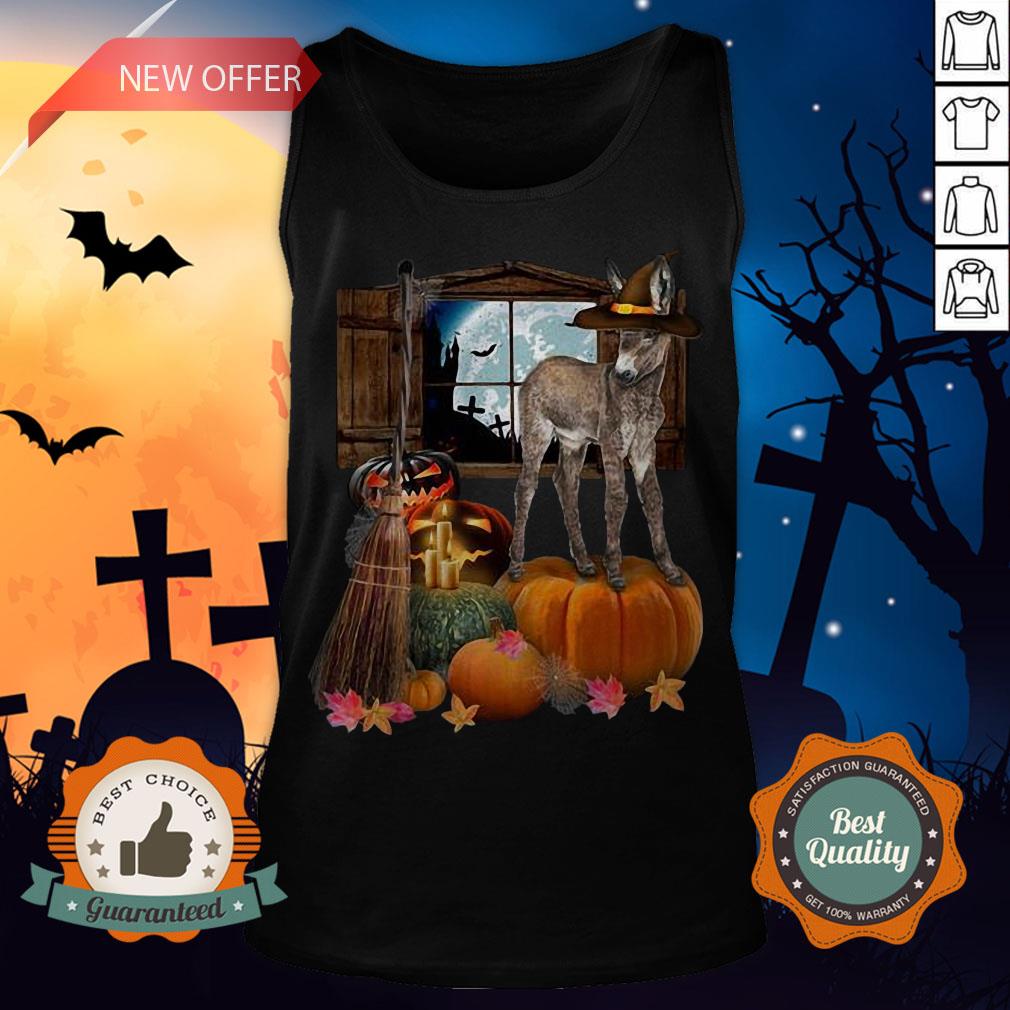 Funny Doneky Witch Halloween Shirt