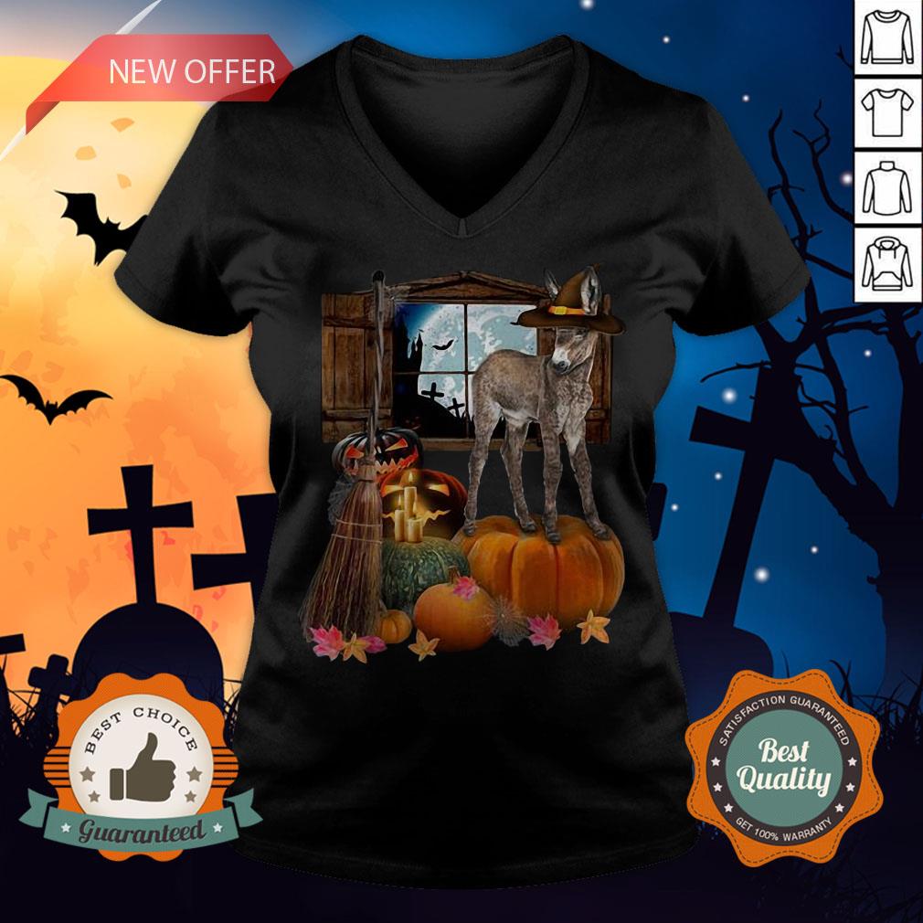 Funny Doneky Witch Halloween Shirt