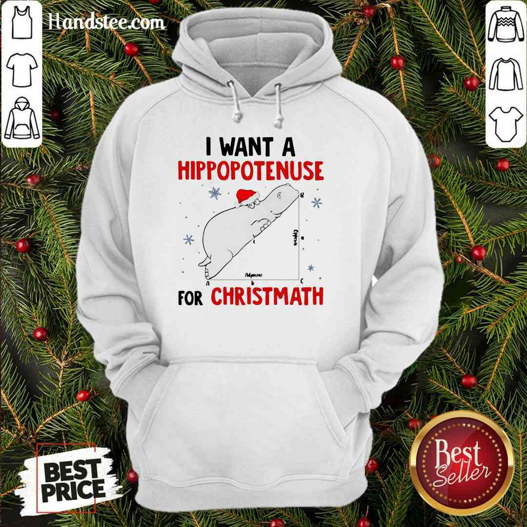 Funny I Want A Hippopotenuse For Christmath Shirt