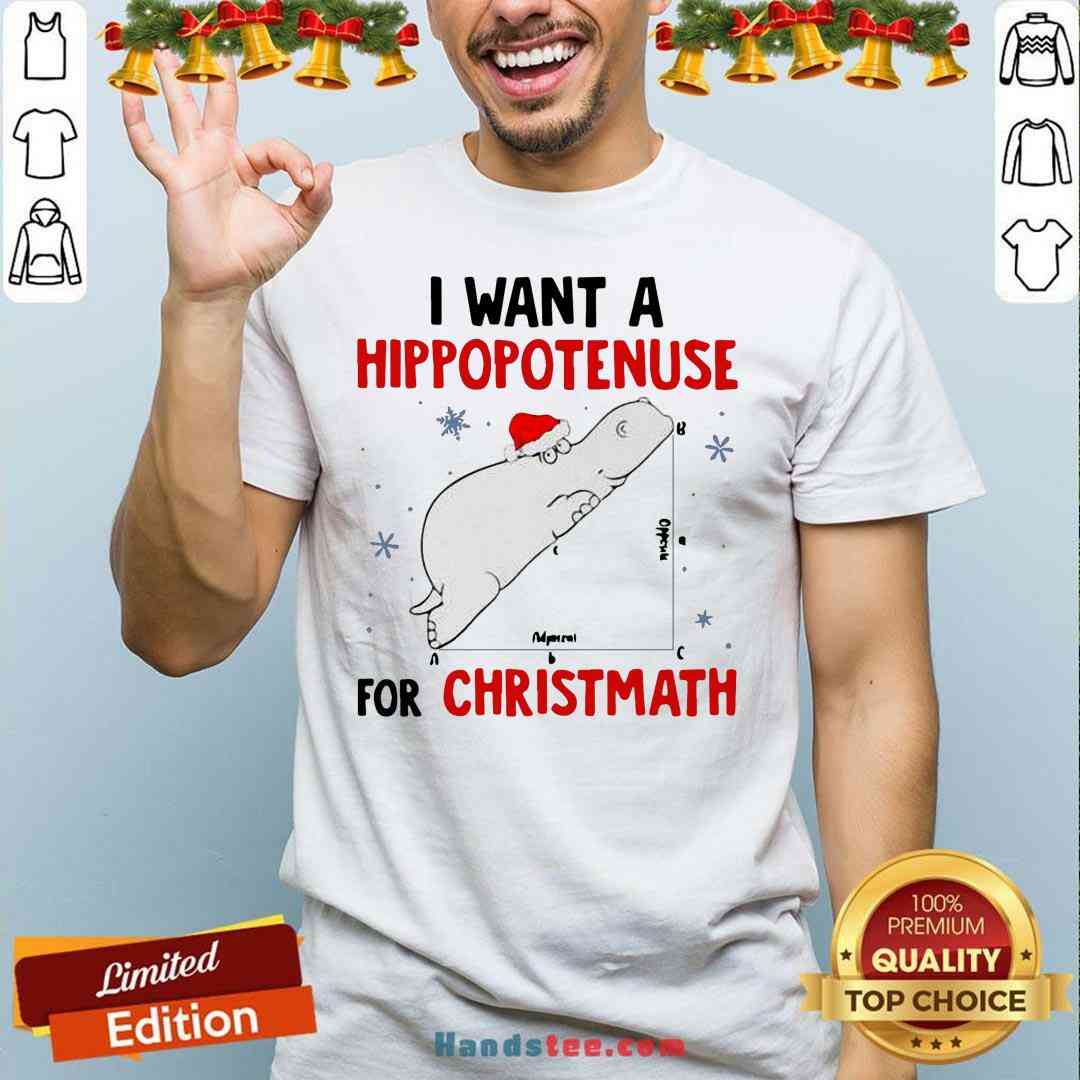 Funny I Want A Hippopotenuse For Christmath Shirt
