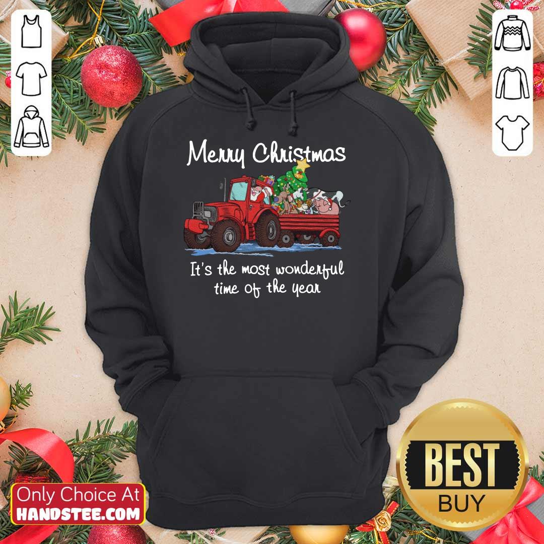 funny-santa-claus-and-animal-merry-christmas-its-the-most-wonderful-time-of-the-year-hoodie.jpg