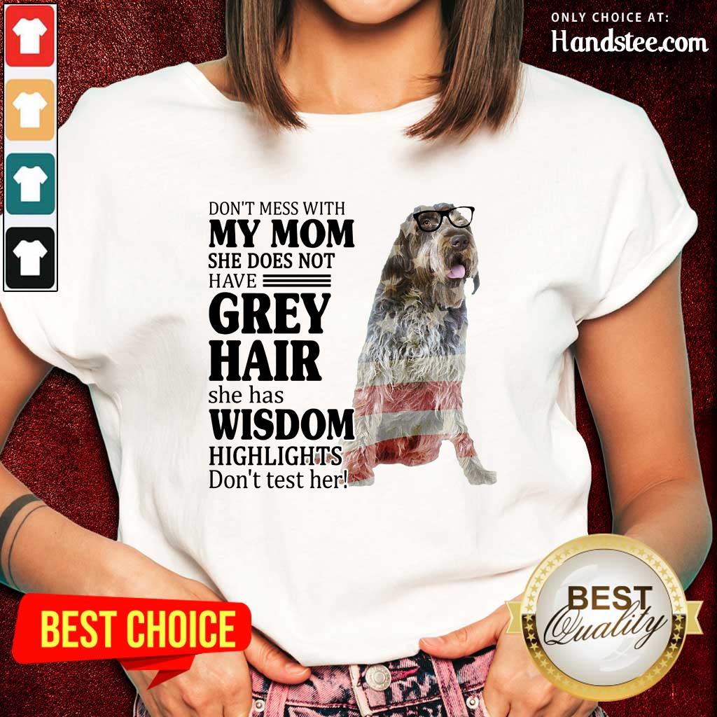 good-wirehaired-pointing-griffon-my-mom-grey-hair-wisdom-highlightsladies-tee.jpg