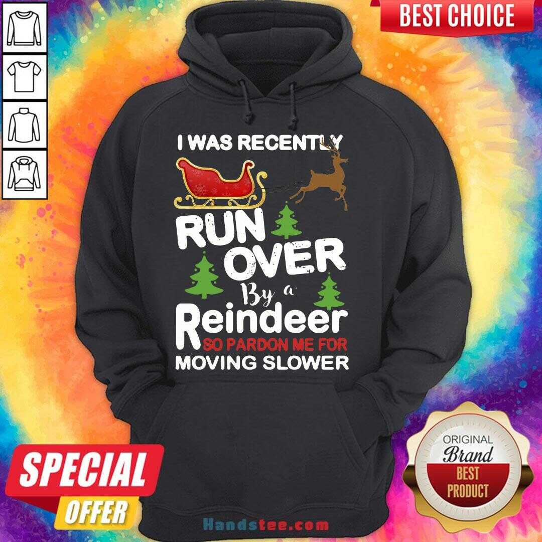 hot-i-was-recently-run-over-by-a-reindeer-so-pardon-me-for-moving-slowehoodie.jpg