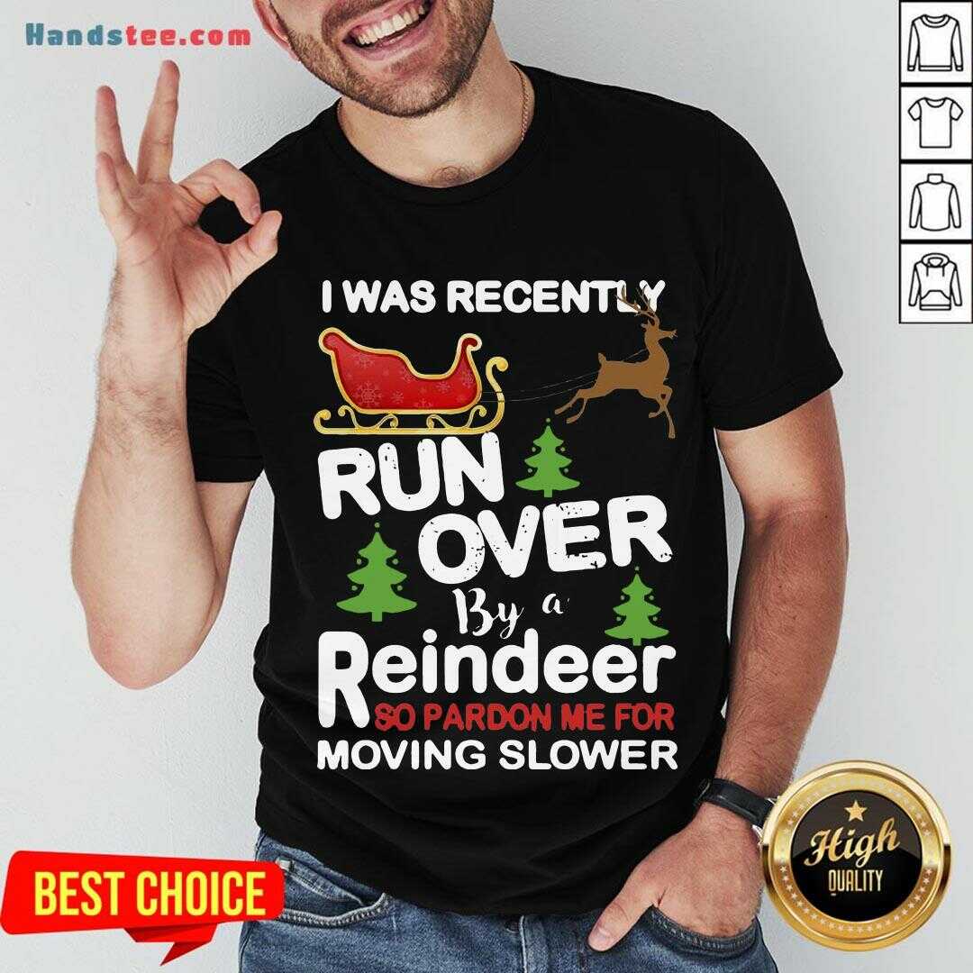 hot-i-was-recently-run-over-by-a-reindeer-so-pardon-me-for-moving-slowershirt.jpg