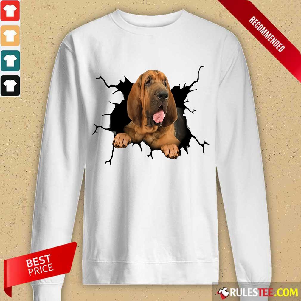 I Love Bloodhound Shirt