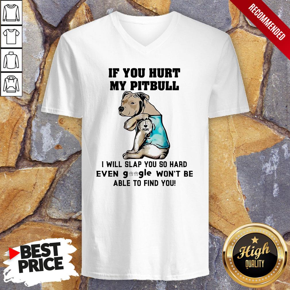 if-you-hurt-my-pitbull-i-will-slap-you-so-hard-even-google-wont-be-able-to-find-you-heart-v-neck.jpg