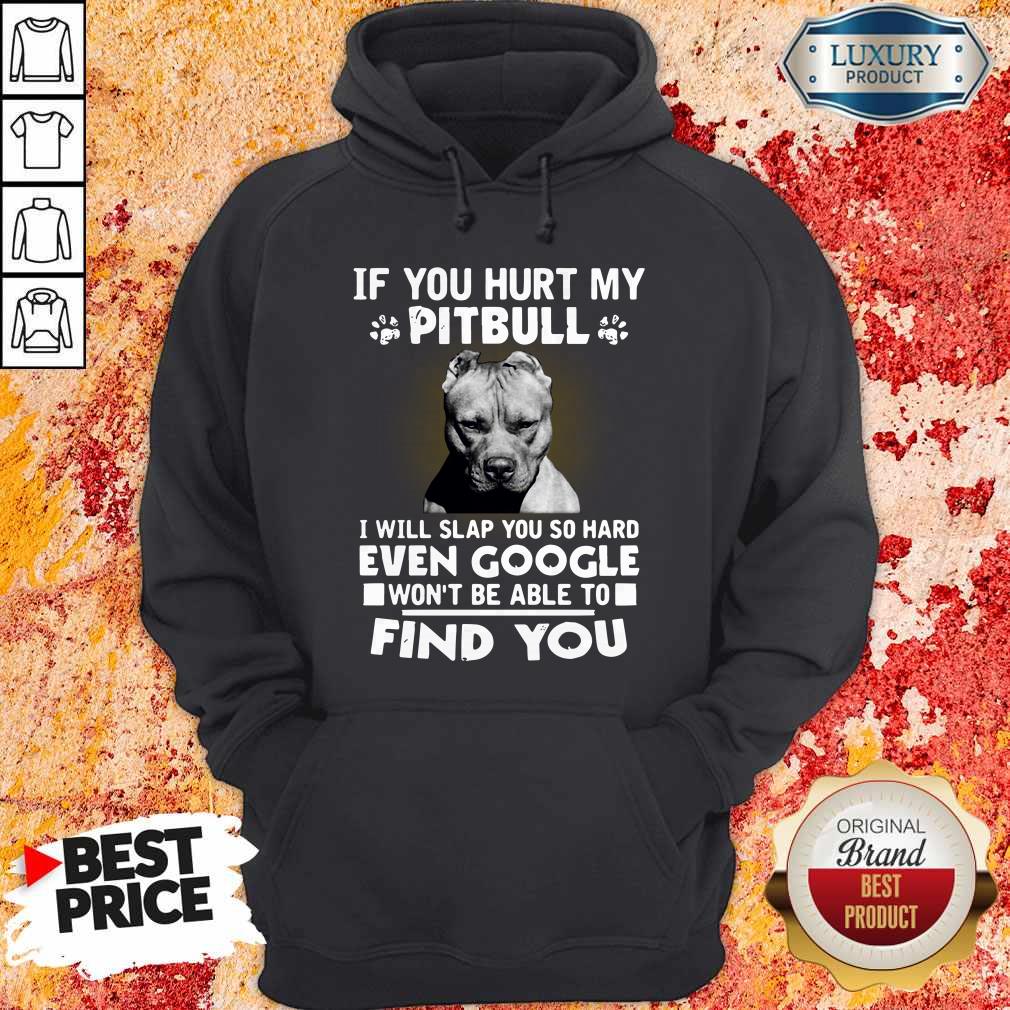 if-you-hurt-my-pitbull-i-will-slap-you-so-hard-even-google-wont-be-able-to-find-you-hoodie.jpg
