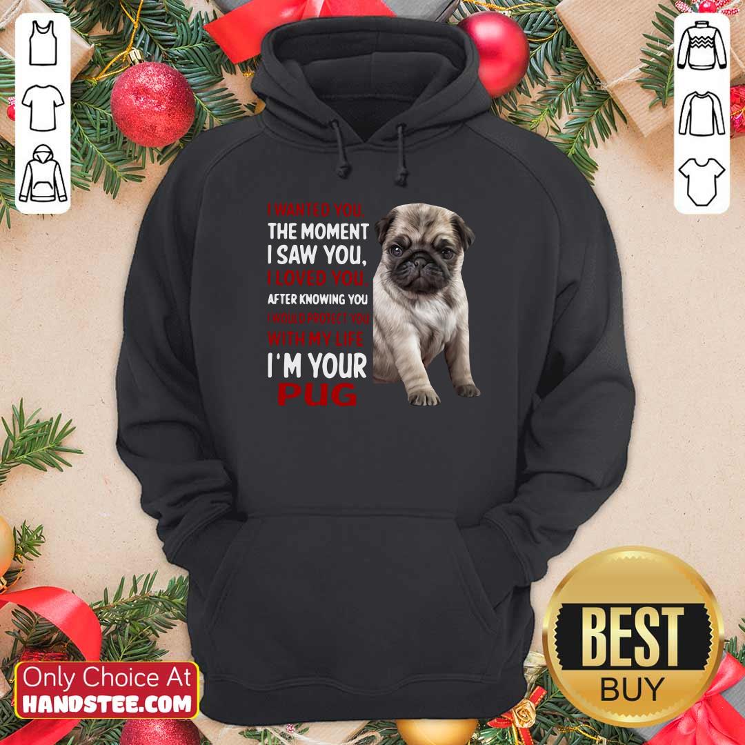 moment-i-saw-you-i-loved-you-after-knowing-you-i-would-protect-you-with-my-life-im-your-pug-hoodie.jpg