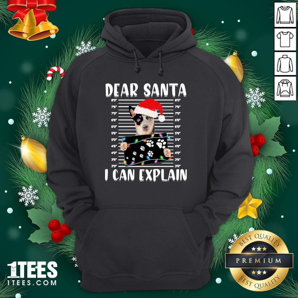 Nice Australian Cattle Dear Santa I Can Explain Christmas Sweater Shirt