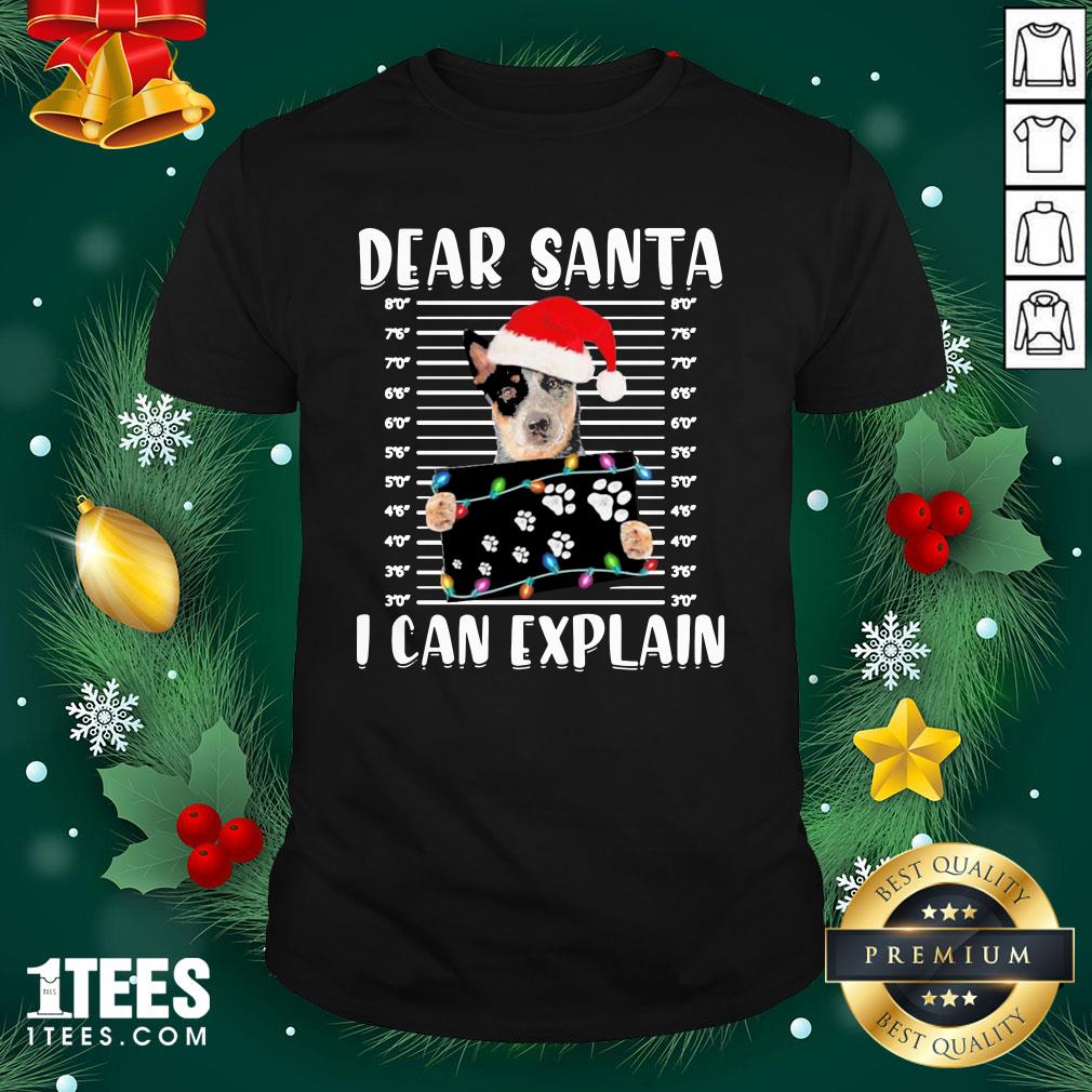 Nice Australian Cattle Dear Santa I Can Explain Christmas Sweater Shirt