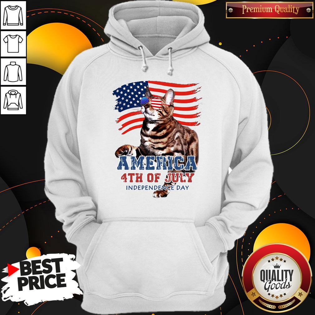 NICE CAT AMERICAN 4TH OF JULY FLAG VETERAN INDEPENDENCE DAY SHIRT