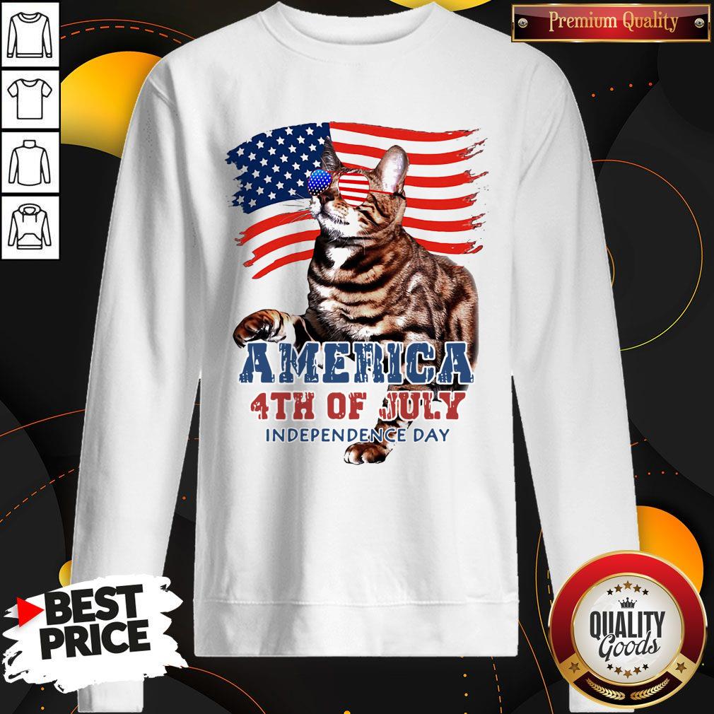 NICE CAT AMERICAN 4TH OF JULY FLAG VETERAN INDEPENDENCE DAY SHIRT