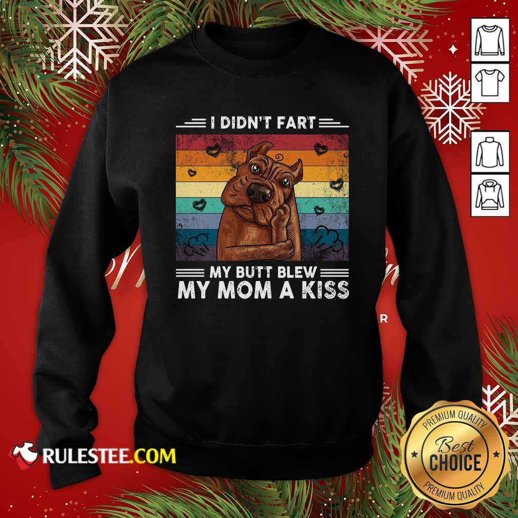 Nice I Didn’t Fart My Butt Blew My Mom A Kiss Vintage Retro Shirt