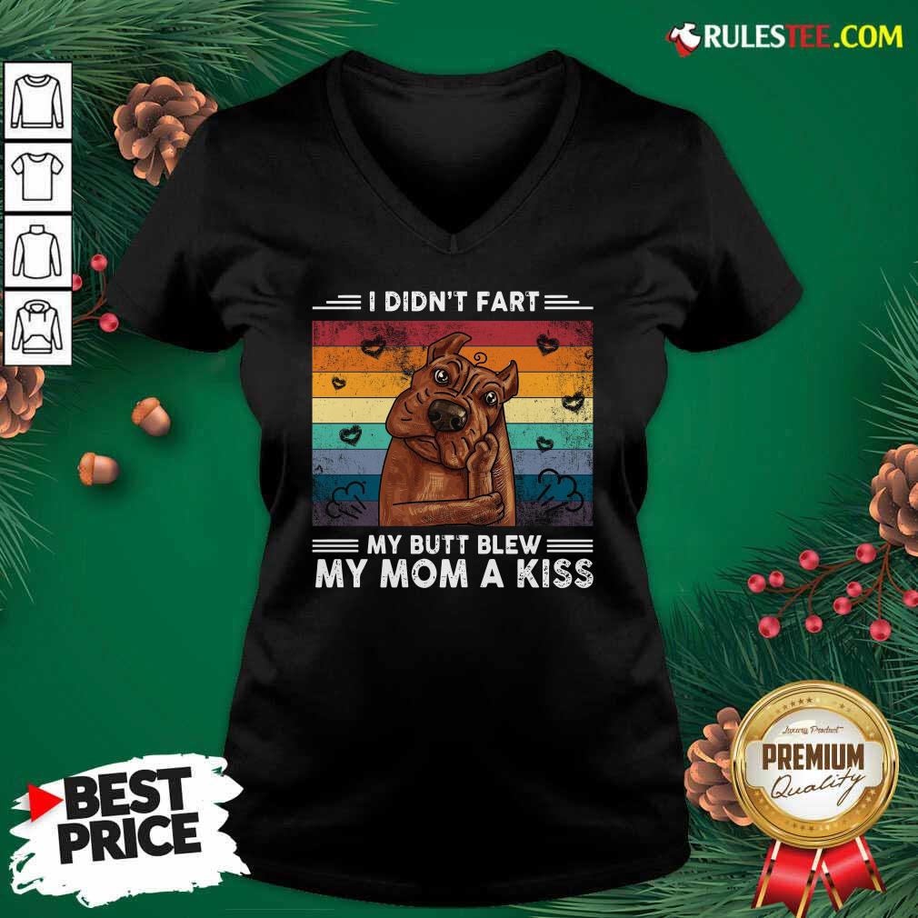 Nice I Didn’t Fart My Butt Blew My Mom A Kiss Vintage Retro Shirt