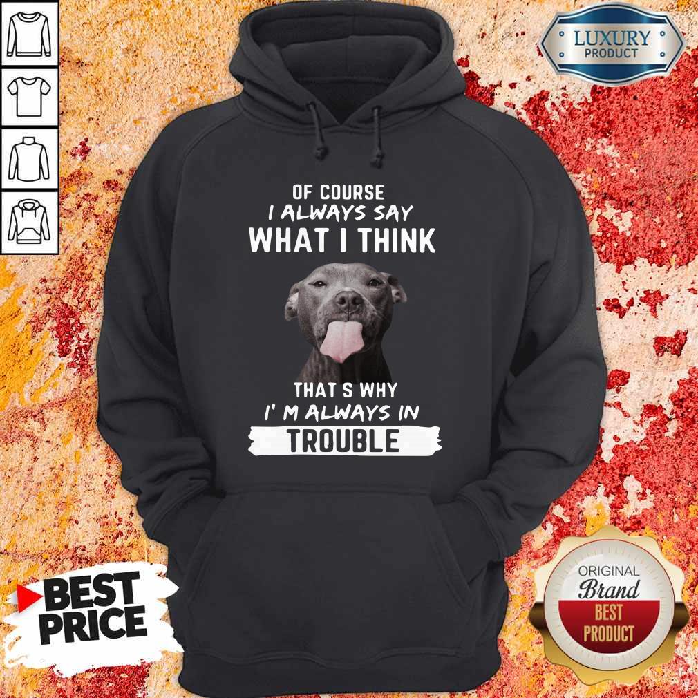 pitbull-of-course-i-always-say-what-i-think-thats-why-im-always-in-trouble-hoodie.jpg