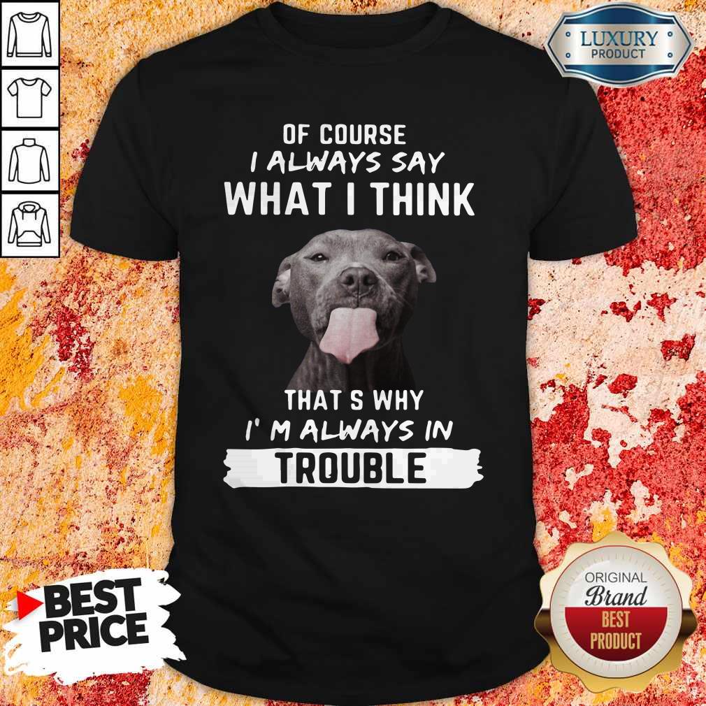 pitbull-of-course-i-always-say-what-i-think-thats-why-im-always-in-trouble-shirt.jpg