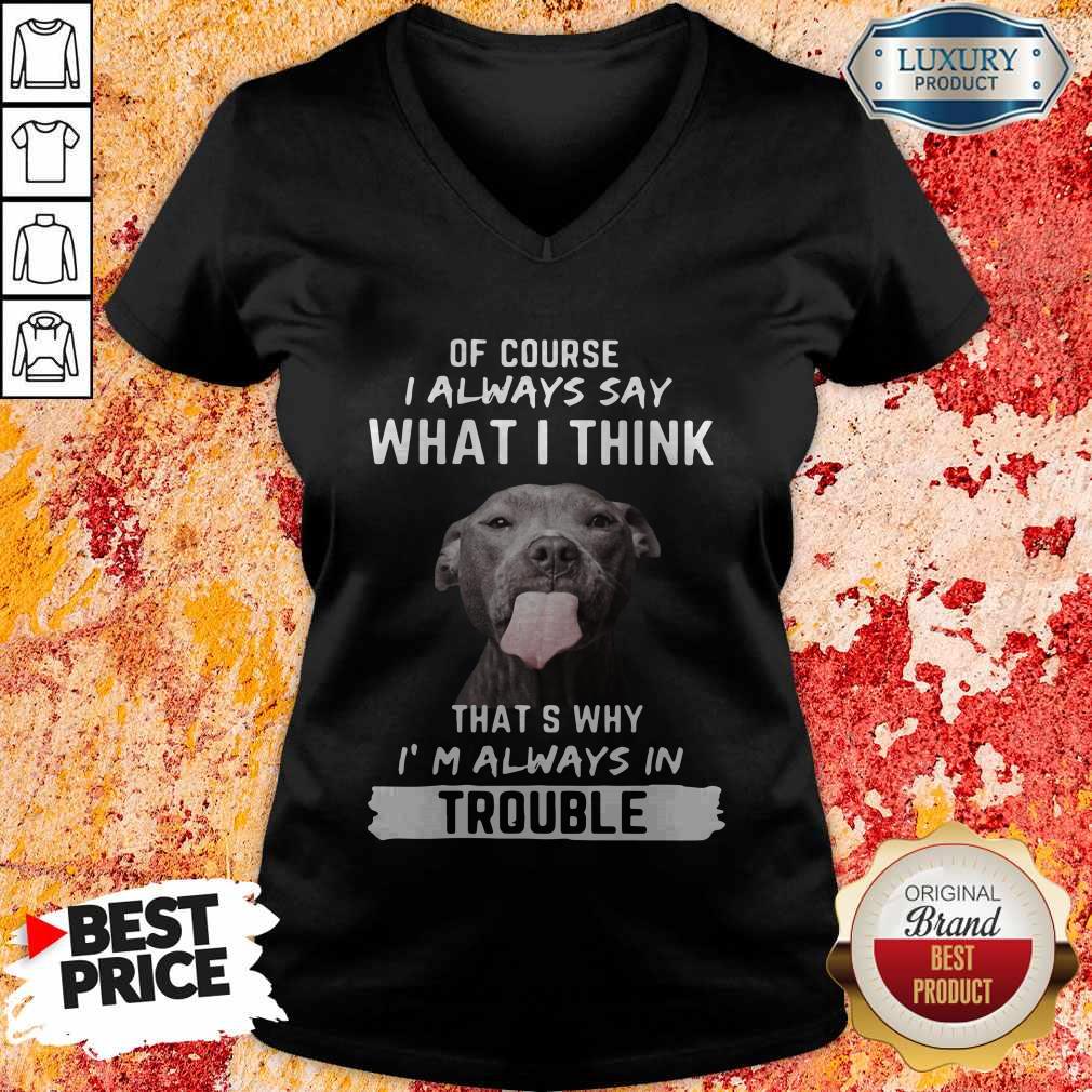 pitbull-of-course-i-always-say-what-i-think-thats-why-im-always-in-trouble-v-neck.jpg