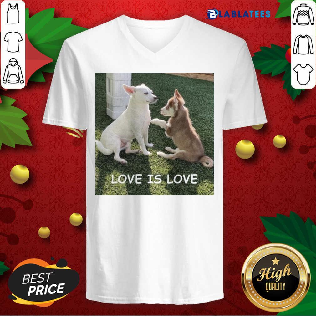 Premium Bryson And Balto Love Is Love Shirt