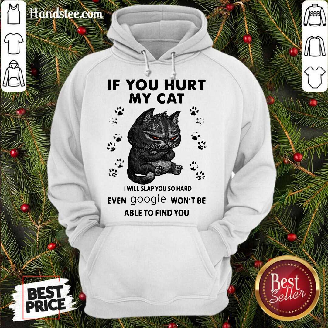 pretty-if-you-hurt-my-cat-i-will-slap-you-so-hard-even-google-wont-be-able-to-find-you-hoodie.jpg