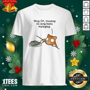 Hot Wag Oa Inuusog Ko Lang Baka Malaglag Cat Shirt