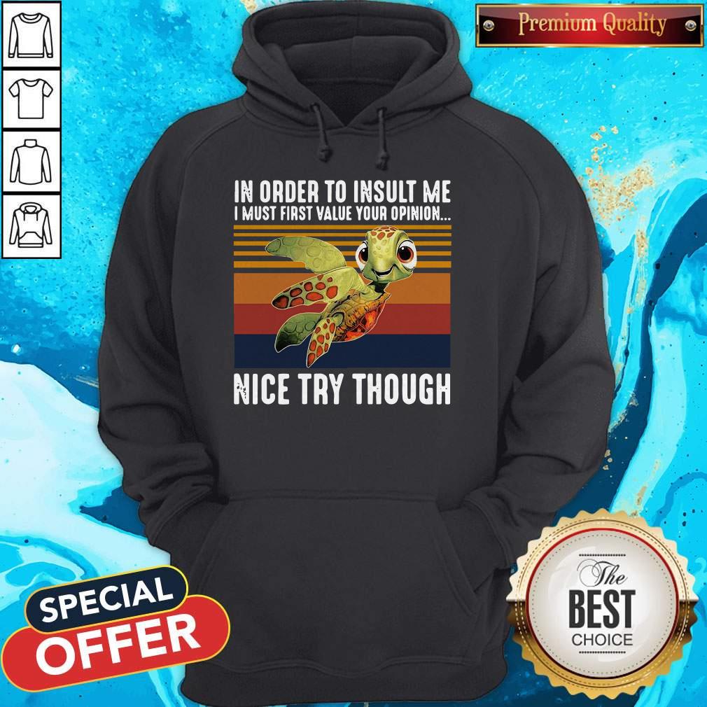 vintage-turtle-in-order-to-insult-me-i-must-first-value-your-opinion-nice-try-though-hoodie.jpg