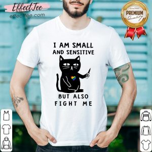 Cute LGBT Cat I Am Small And Sensitive But Also Fight Me Shirt