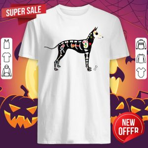 Sugar Skull Day Of The Dead Xoloitzcuintli Dog Dia De Los Muertos Shirt